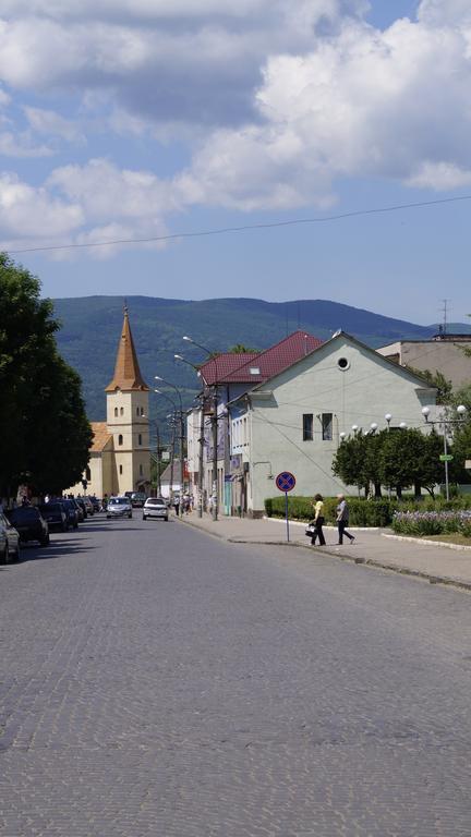 Villa Svalyavа Свалява Экстерьер фото